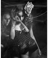 Vampyria multiexposed