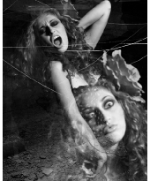 Vampyria multiexposed