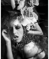 Vampyria multiexposed